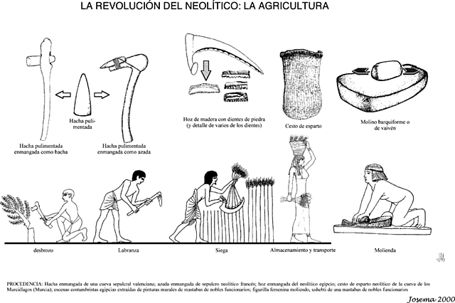 NEOLITICO - Asia y África / Inicio