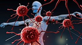 Timeline: Desarrollo de la Inmunología