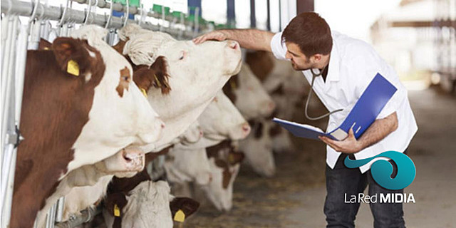 Se agrega "zootecnia" a la carrera de medicina veterinaria en México