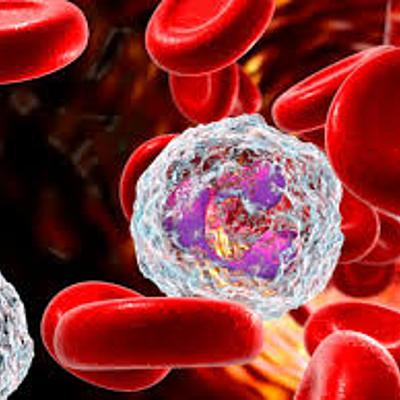 Timeline: Una perspectiva Historia de la Inmunología