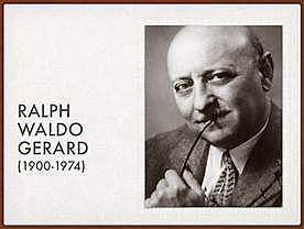 Unidades curriculares que se combinan de manera estandarizada con piezas de Meccano,