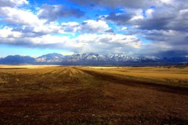 The mormons get to utah