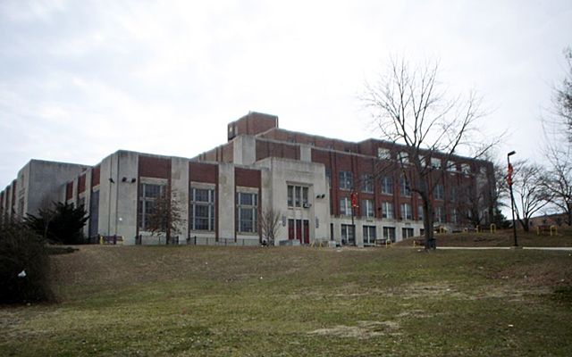 The Education of Noam Chomsky