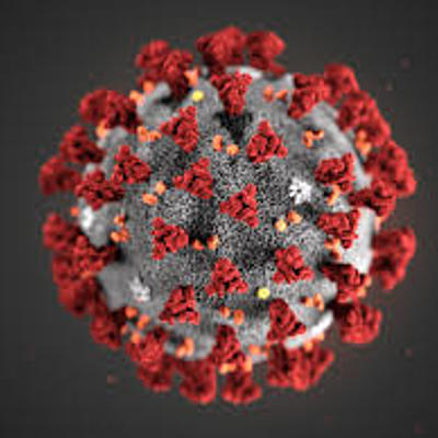 Timeline: Coronavirus
