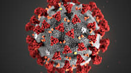 Timeline: Coronavirus