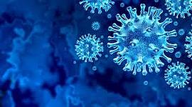 Timeline: Evolucion del coronavirus