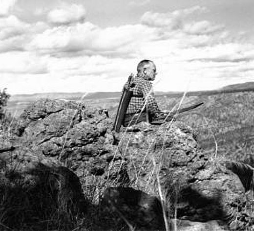 La naturaleza tiene derechos