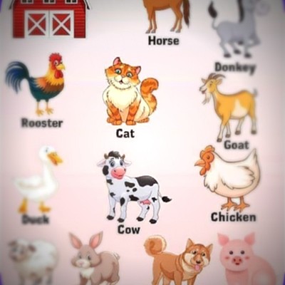 Timeline: პროექტი მეოთხე კლასი ,,მცენარები და ცხოველები"