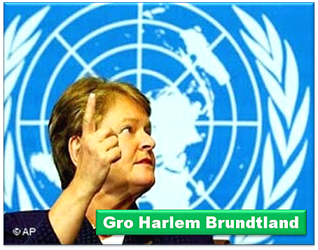 Comisión Brundtland
