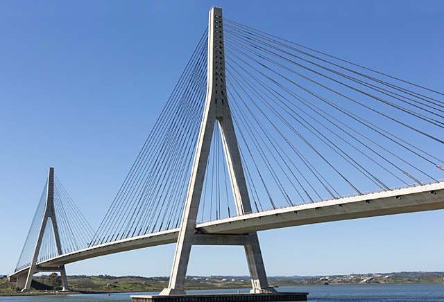 The Cable Stayed Bridge