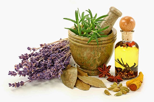 Creación del Programa Nacional de Medicina Complementaria