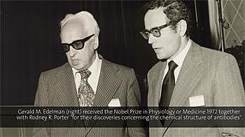 Estructura de anticuerpos