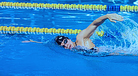 Timeline: el proceso  de la flecha en natacion