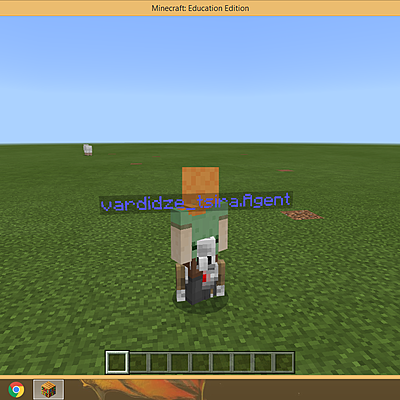 Timeline: პროექტი