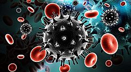 Timeline: Desarrollo de la Inmunología