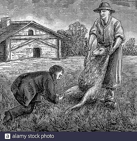 Inoculación contra ántrax