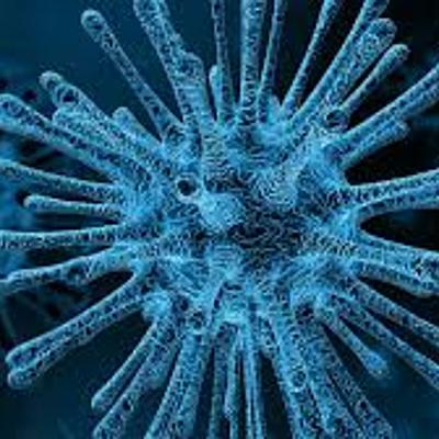 Timeline: linea de tiempo del covid