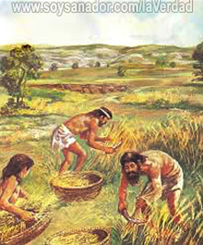 Neolítico Tiempos: de cultivos Cultura