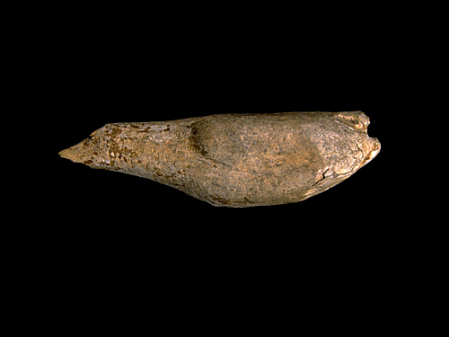 SOLUTRENSE / Inicio (20000 BP - 17000 BP)