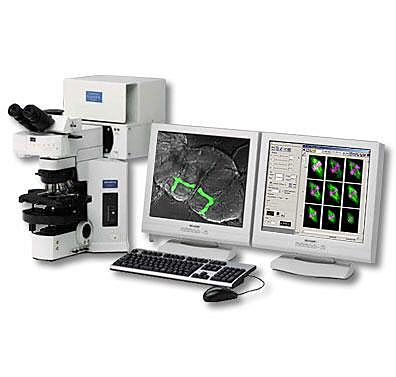 Microscopio confocal