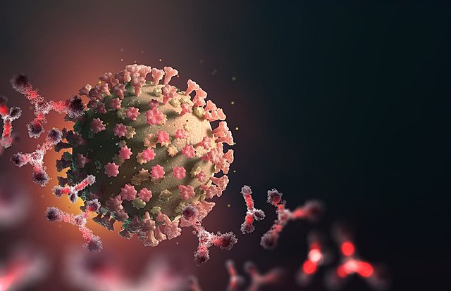 +200 000 Infectados y +8 000 Muertos