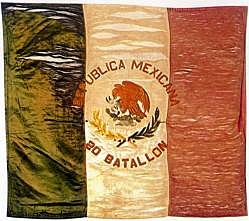Bandera del 20 Batallón