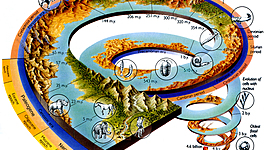 Timeline: Краткая история жизни на Земле
