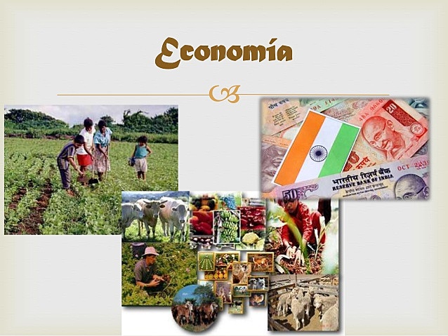 Actividad económica.