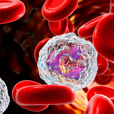 Timeline: La inmunología a través del tiempo