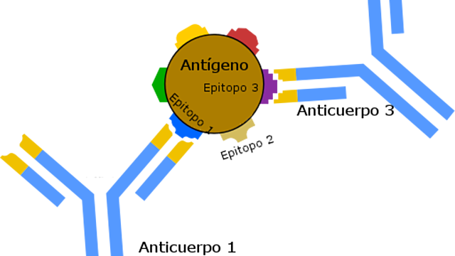 Teoría instruccional