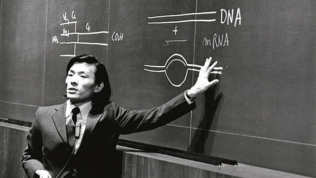 Reordenamiento de gen en la producción de anticuerpos.