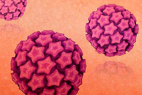 Virus del papiloma humano