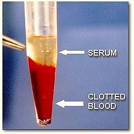 Emil Von Behring y Shibasauro Kitasato