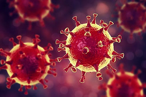 SE CONFIRMA NUEVO CORONAVIRUS