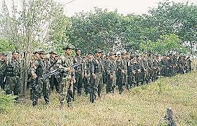 aparicion de las Farc