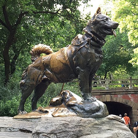 Leonhard Seppala, Gunnar Kaasen y Balto; terapia pasiva con anticuerpos.