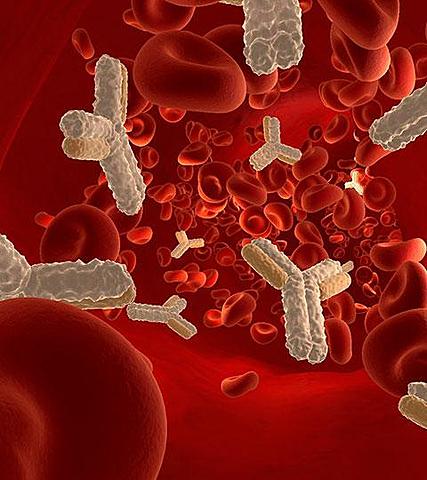 Inmunoterapia pasiva