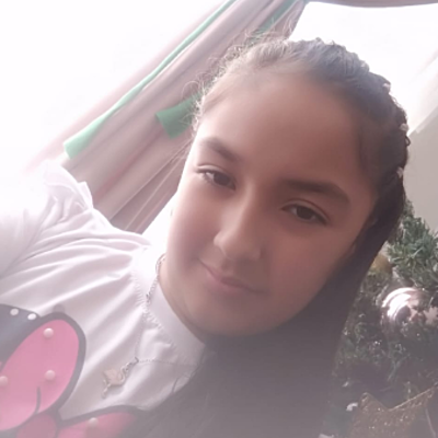 Timeline: Daniela Linares