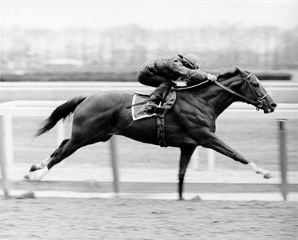 Secratariat wins the whole Triple Crown