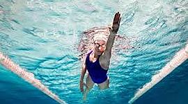 Timeline: estilo crol o libre en natación