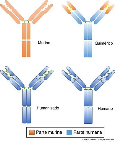 Anticuerpos monoclonales