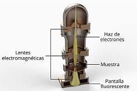 Microscopio de electrones