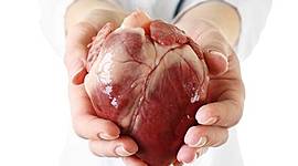 Timeline: Evolucion del tratamiento de valvula aortica