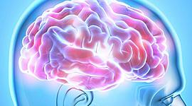 Timeline: Desarrollo histórico de la Neuropsicología, Diana Jazmin Castaño Olarte ID 100060558