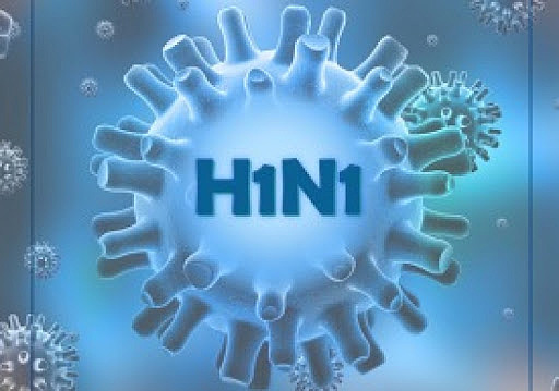 Gripe Suína (H1N1)