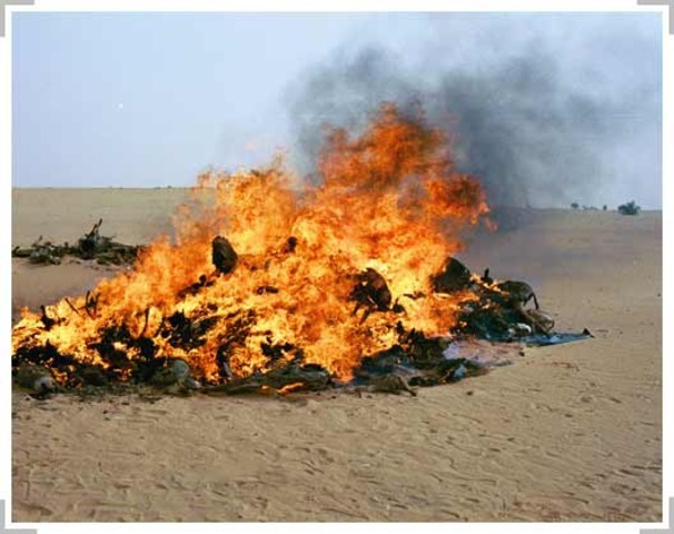 Government Strike Down