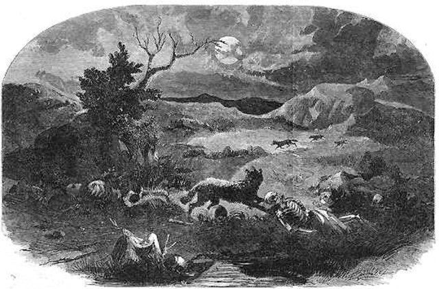 mountain meadows massacre