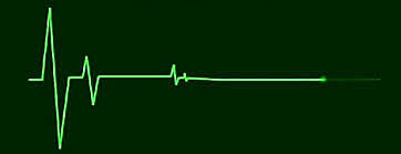 5 MUERTE DE COSTA RICA