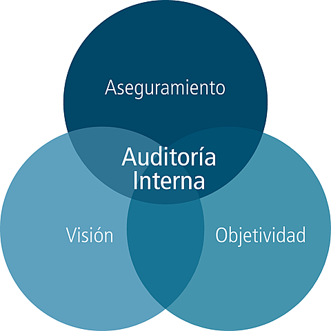 Creación de las auditorias internas