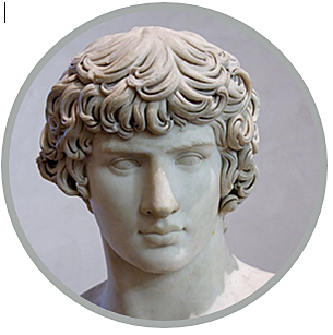 Desarrollo de la Adolescencia